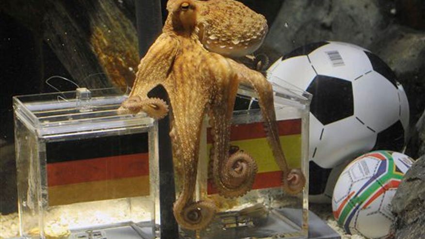 Psychic Octopus